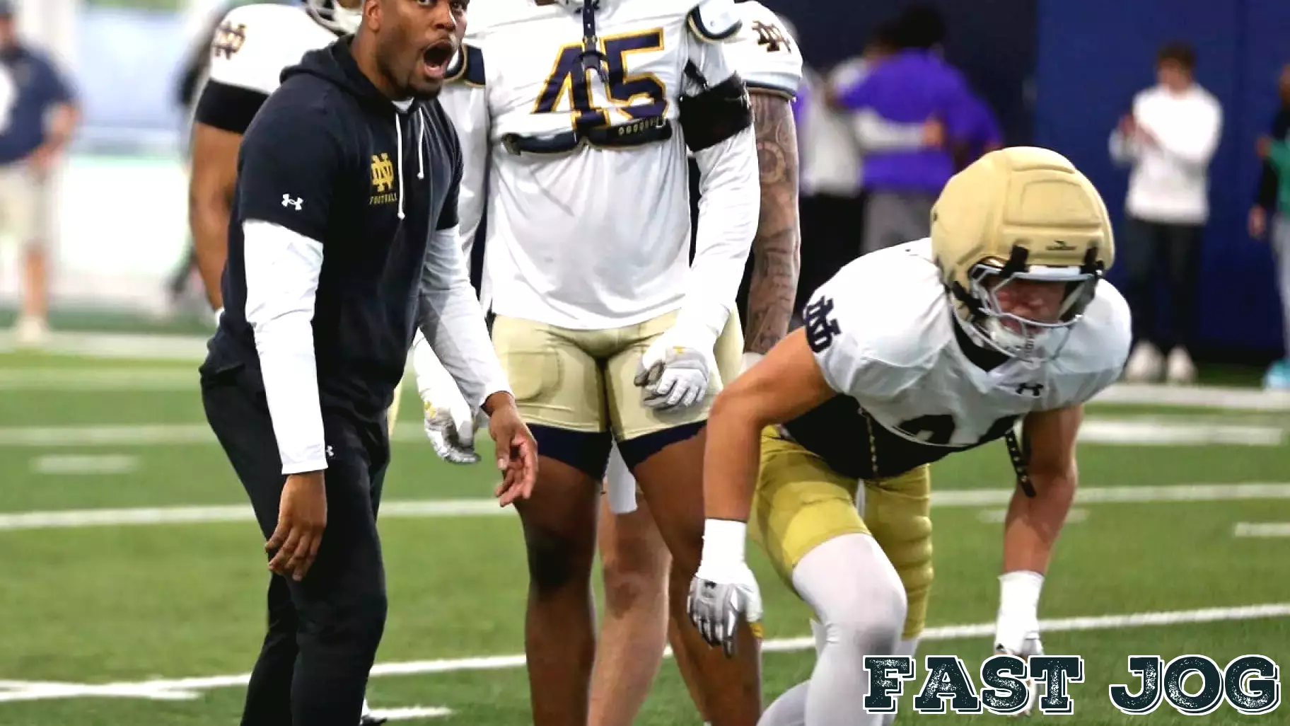 A New Era Begins: Key Insights from the Ravens' Fresh Coaching Lineup