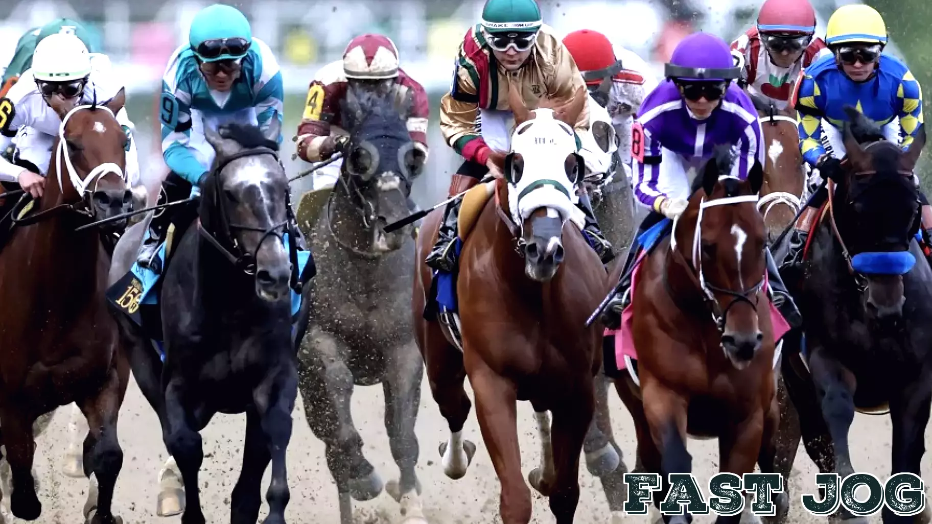 From The Sports Desk: Preakness preview